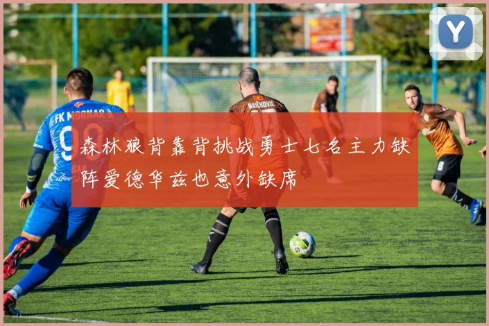 森林狼背靠背挑战勇士七名主力缺阵爱德华兹也意外缺席